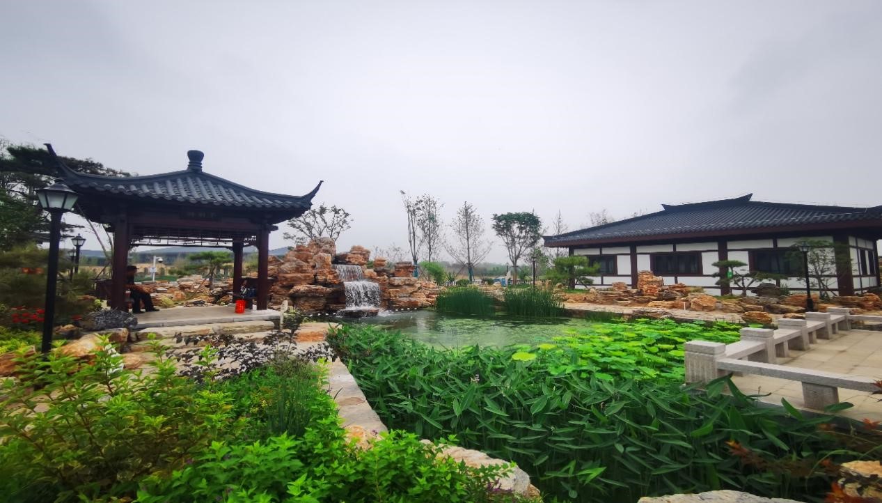 雄安郊野公园 雄安郊野公园